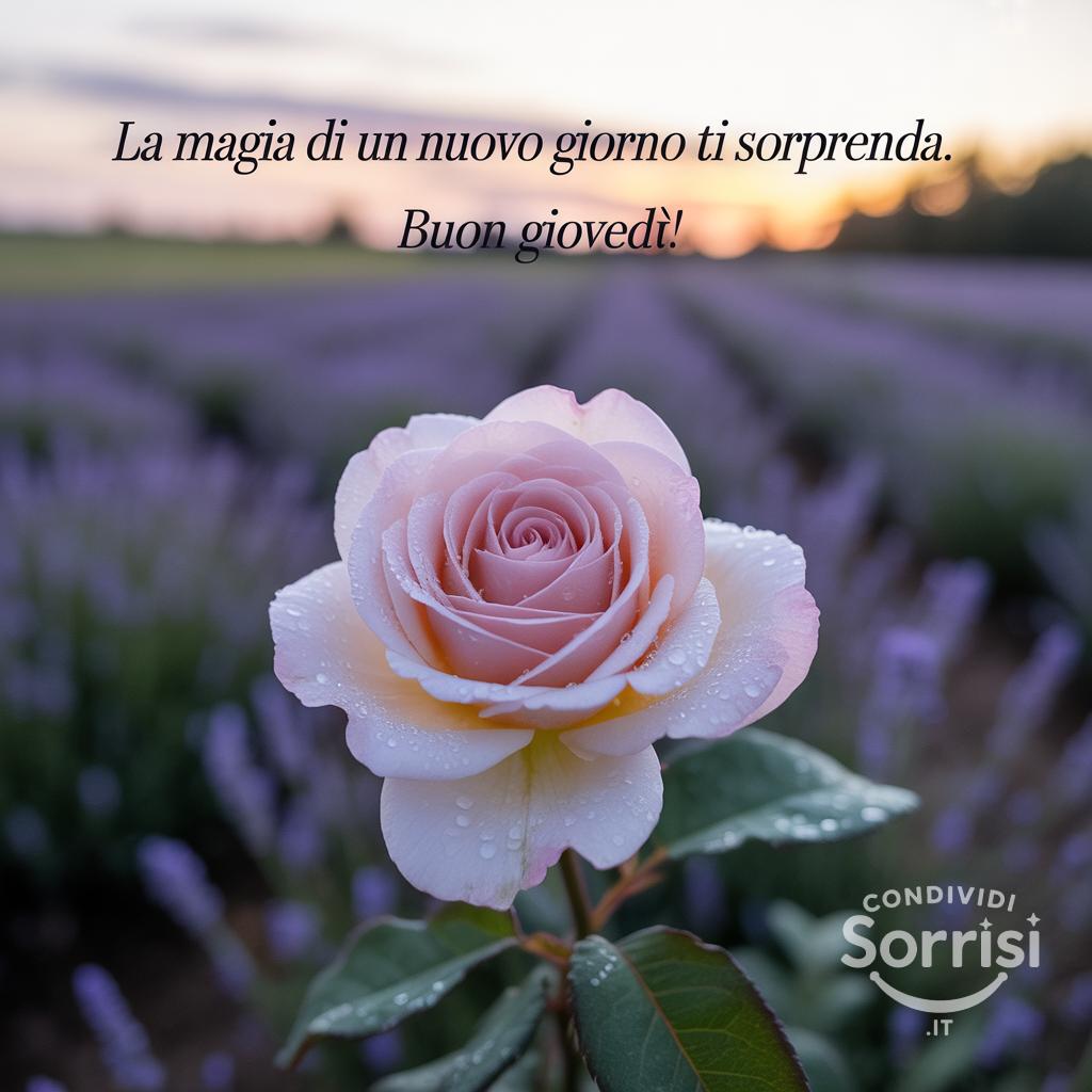 La magia di un nuovo giorno ti sorprenda. Buon Giovedì!