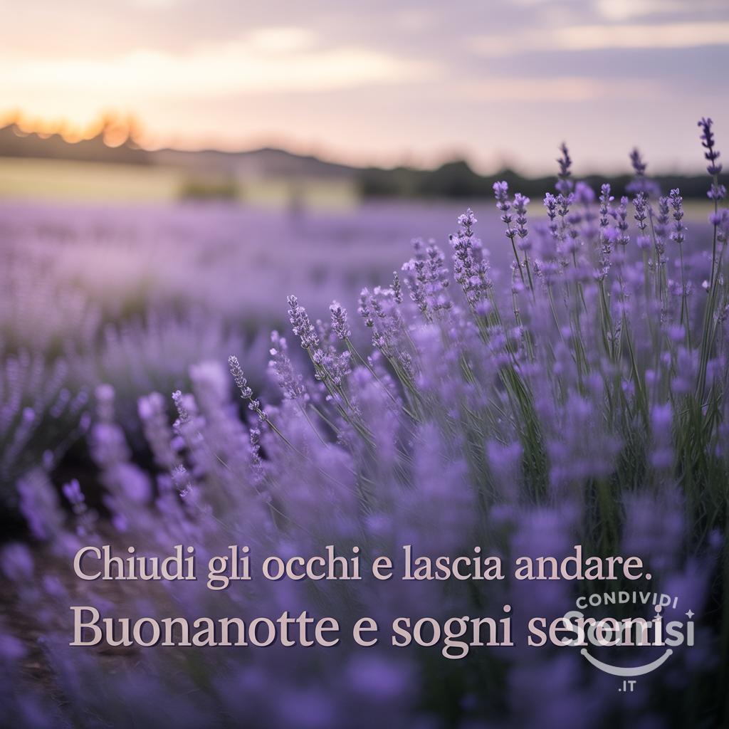 Chiudi gli occhi e lascia andare. Buonanotte e sogni sereni