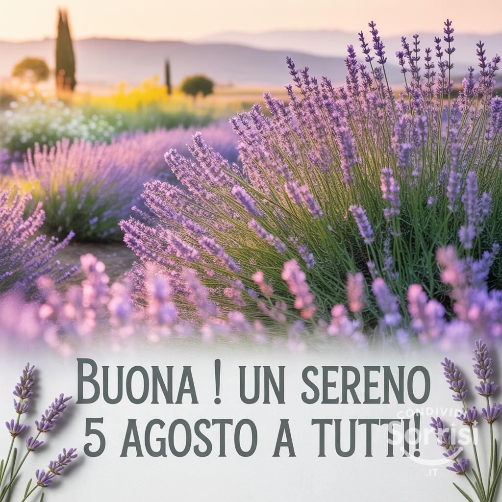 Buona ! Un sereno 5 agosto  a tutti!