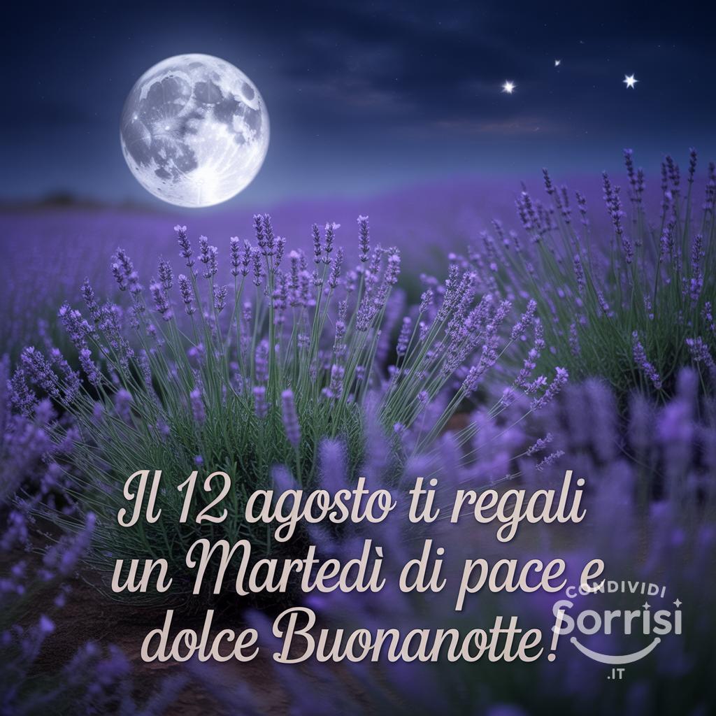 Il 12 agosto  ti regali un martedì di pace e dolce buonanotte!
