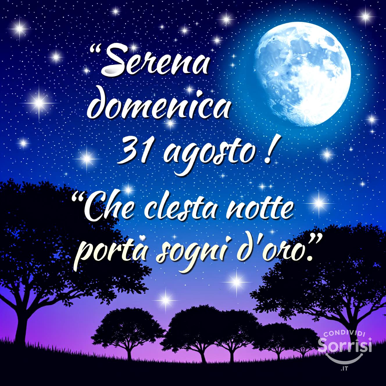Serena domenica 31 agosto ! Che questa notte porti sogni d'oro.