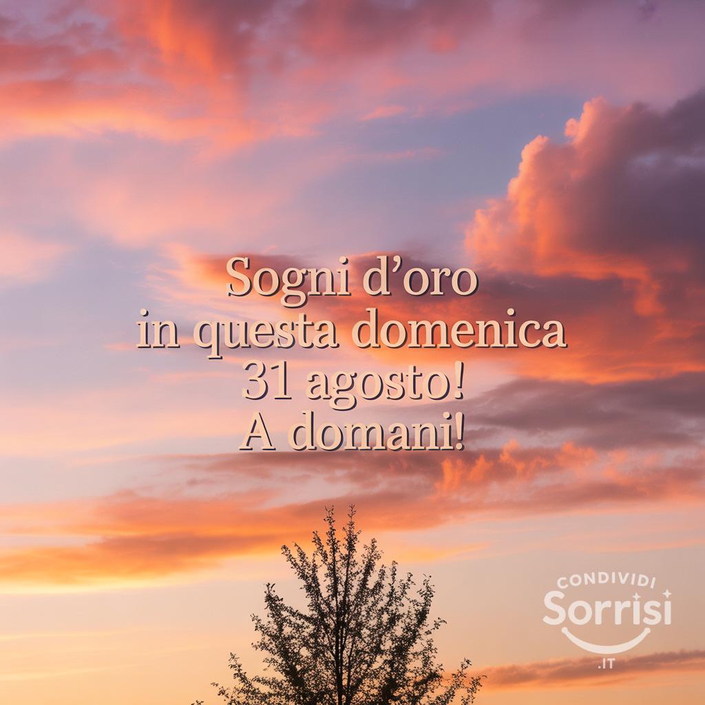 Sogni d'oro in questa domenica 31 agosto ! A domani!
