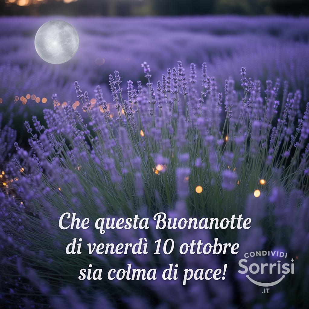 Che questa buonanotte di venerdì 10 ottobre  sia colma di pace!