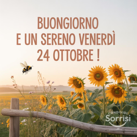 Buongiorno e Buona Venerdì 24 Ottobre 2025!