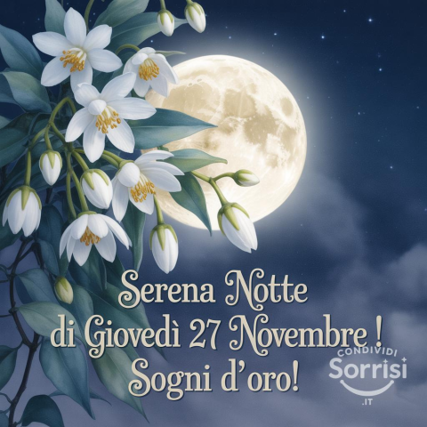 Serena Notte di Giovedì 27 Novembre 2025!