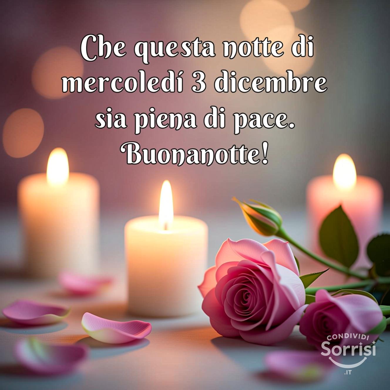 Che questa notte di mercoledì 3 dicembre  sia piena di pace. Buonanotte!