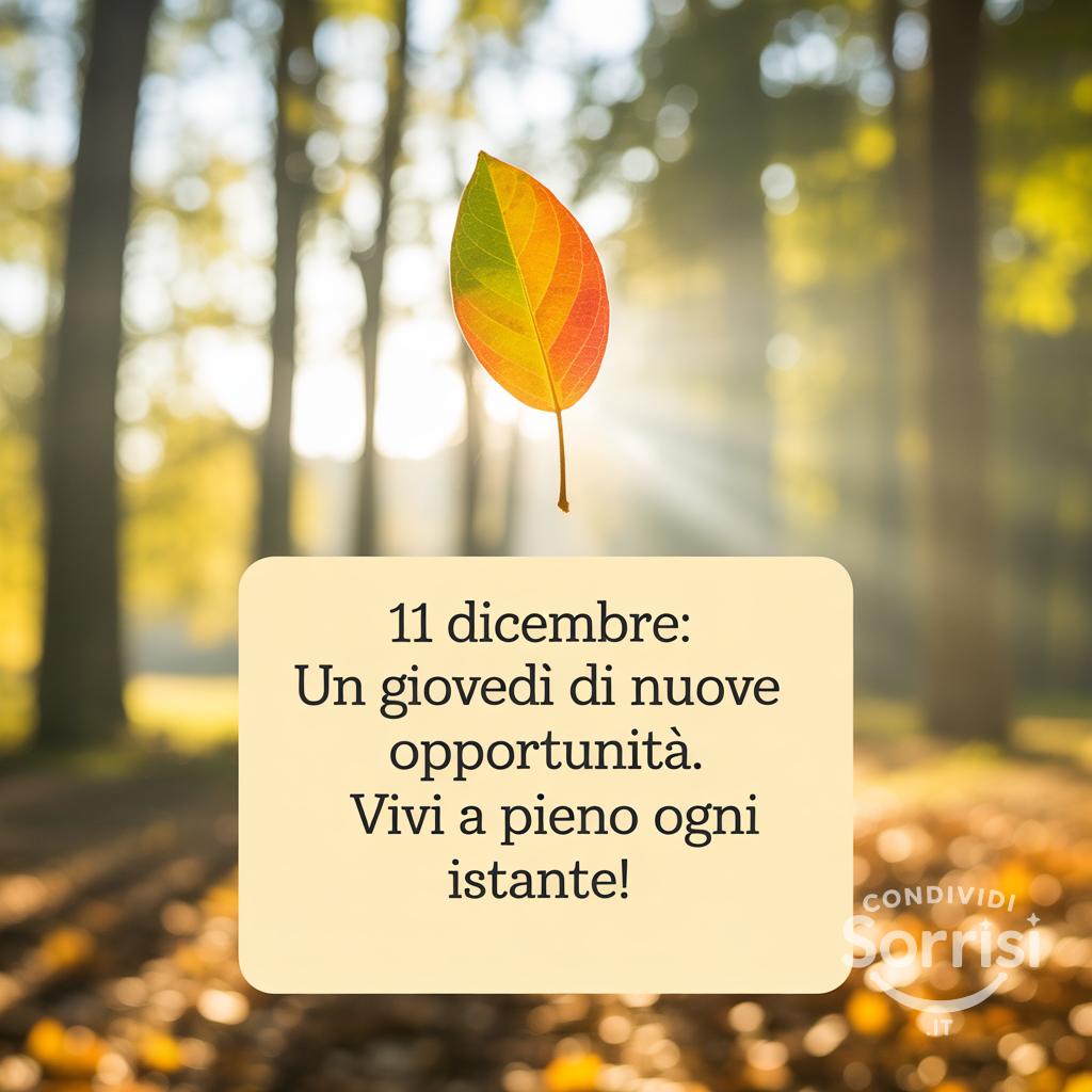 11 dicembre: un giovedì di nuove opportunità. Vivi a pieno ogni istante!