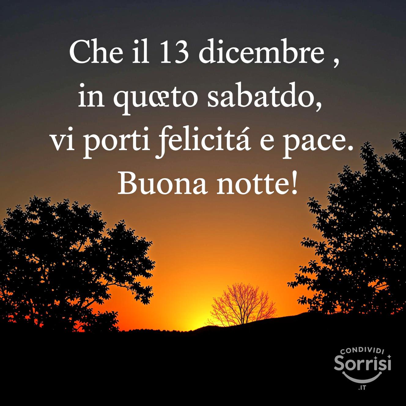 Che il 13 dicembre , in questo sabato, vi porti felicità e pace. Buona notte!