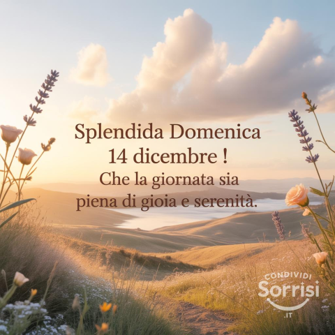 Un Sereno Buongiorno e Buona Domenica: 14 Dicembre 2025