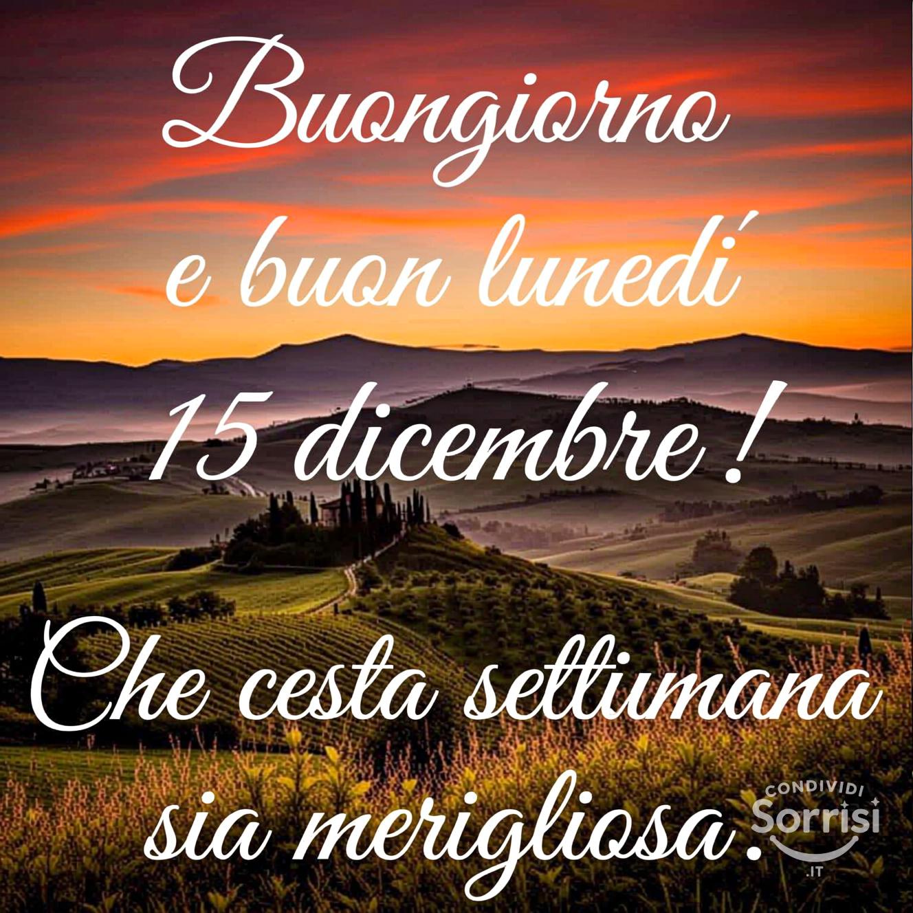 Buongiorno e buon lunedì 15 dicembre ! Che questa settimana sia meravigliosa.