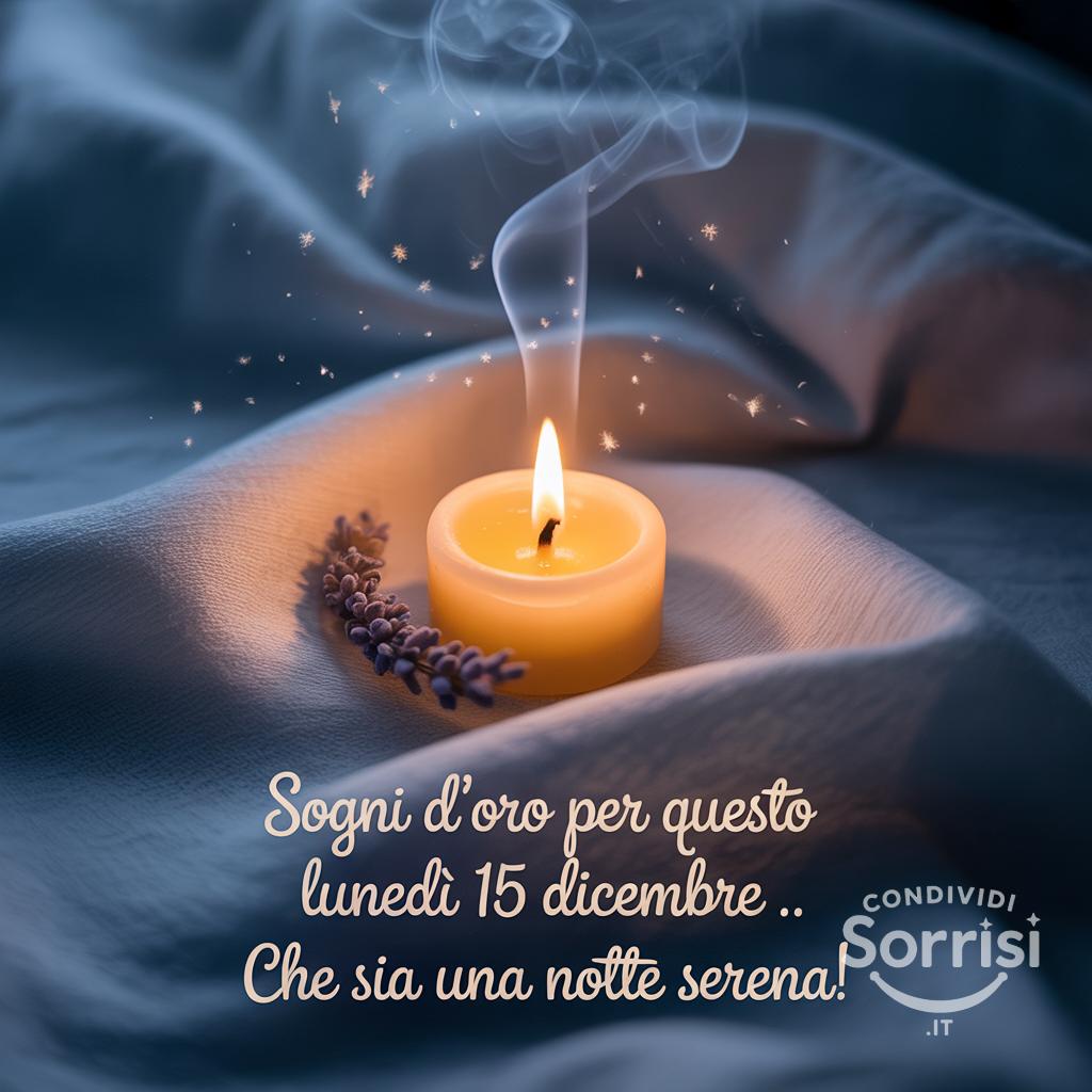 Sogni d'oro per questo lunedì 15 dicembre . Che sia una notte serena!