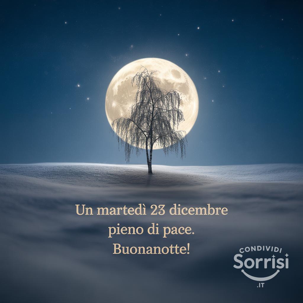 Un martedì 23 dicembre  pieno di pace. Buonanotte!