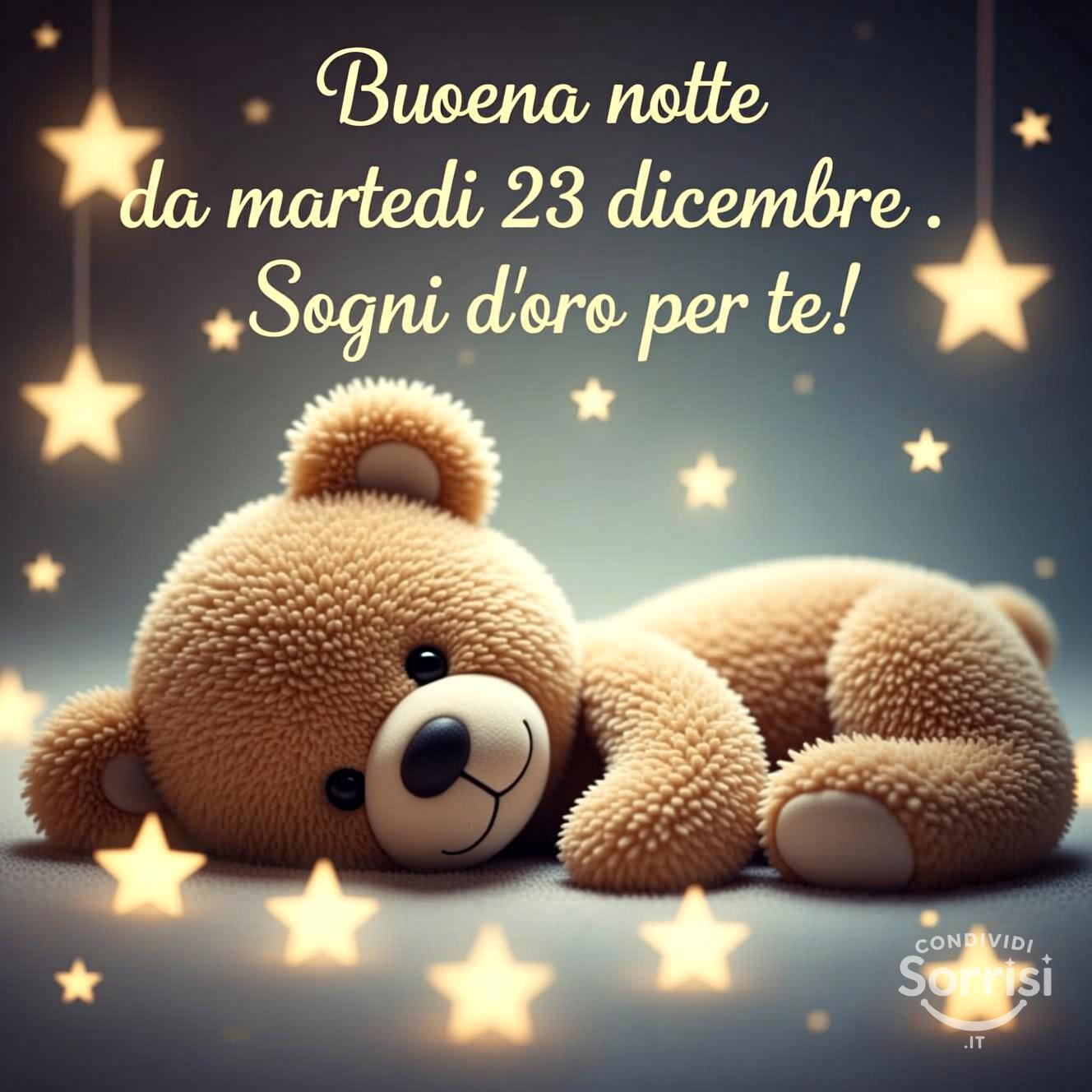 Buona notte da martedì 23 dicembre . Sogni d'oro per te!