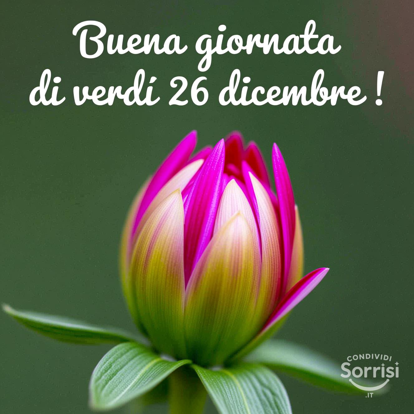 Buona giornata di venerdì 26 dicembre !