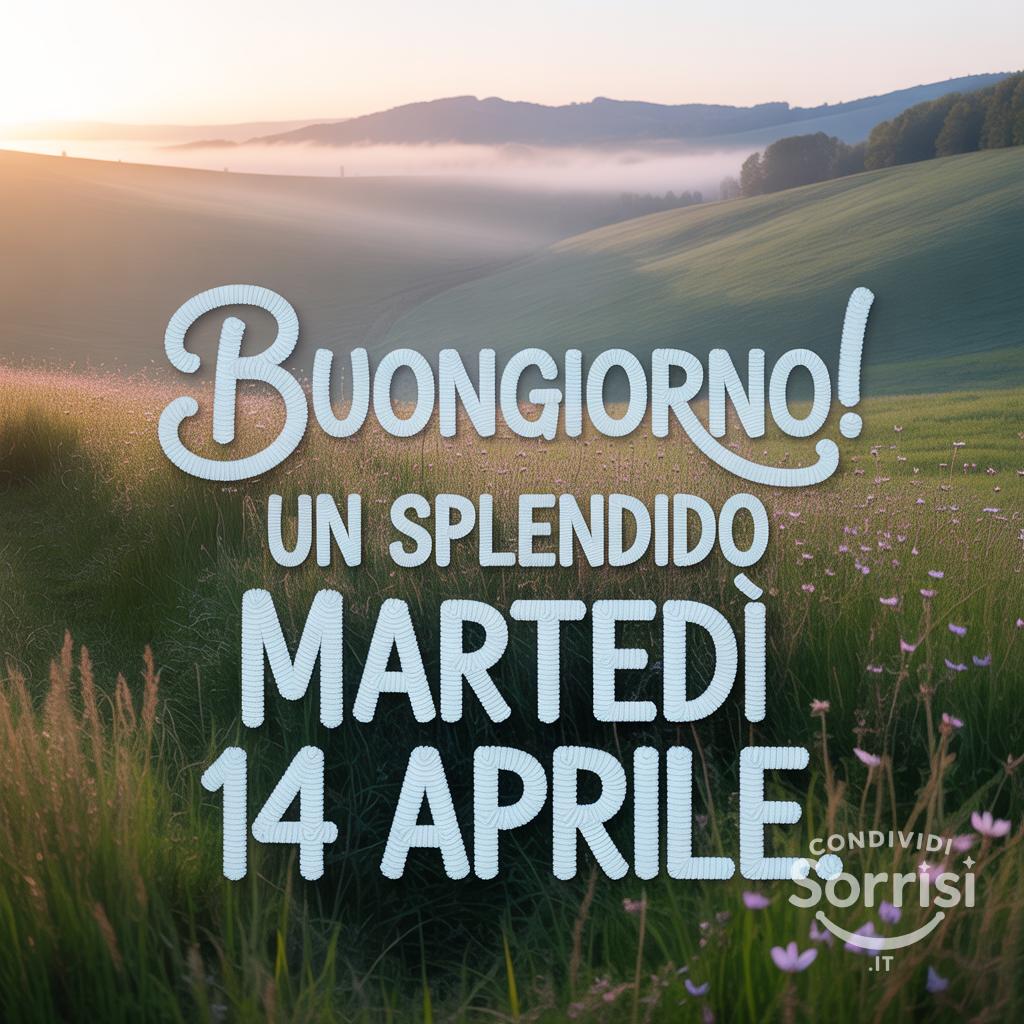 Buongiorno! Un splendido martedì 14 aprile.