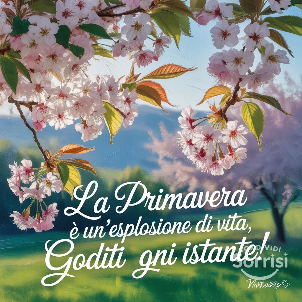 La primavera è un'esplosione di vita, goditi ogni istante!
