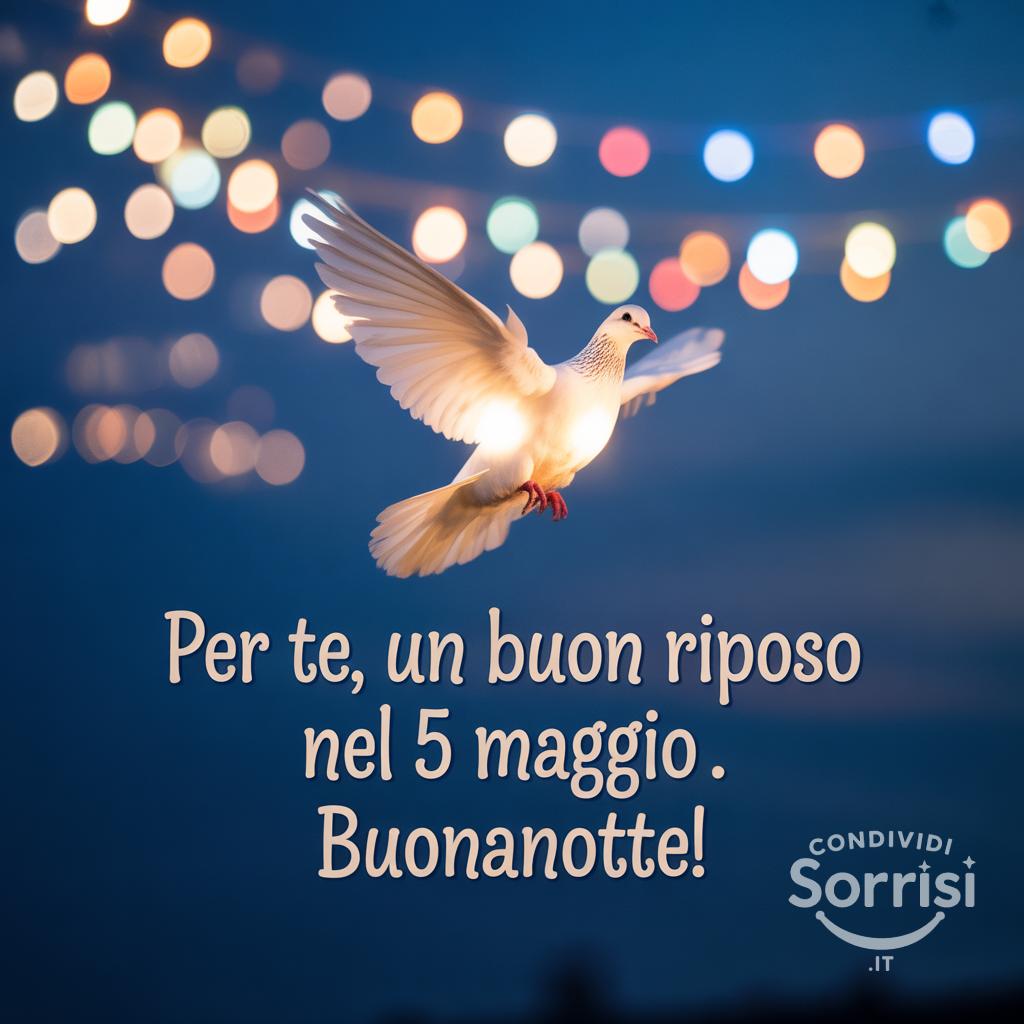 Per te, un buon riposo nel 5 maggio . Buonanotte!