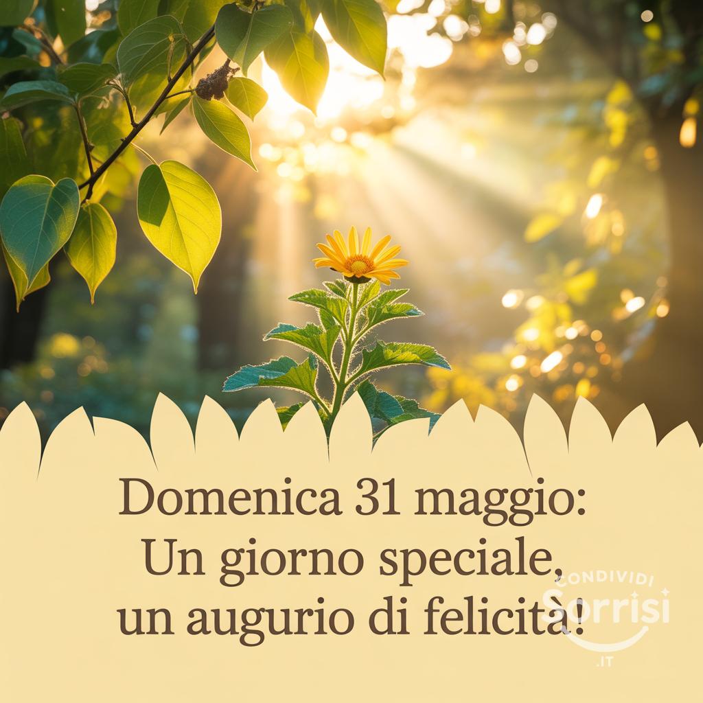 Domenica 31 Maggio: un giorno speciale, un augurio di felicità!