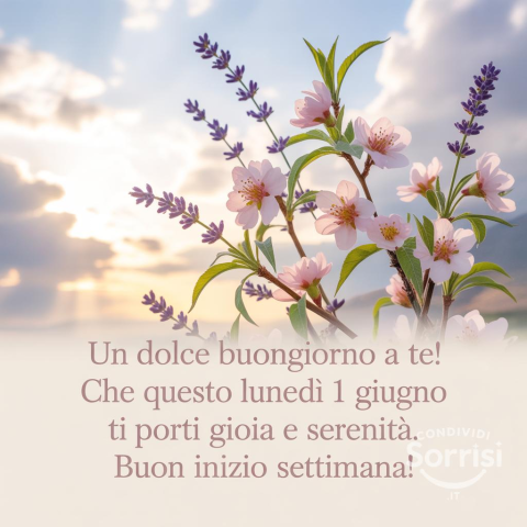 Buonanotte e un Dolce Riposo per Lunedì 1 Giugno 2026