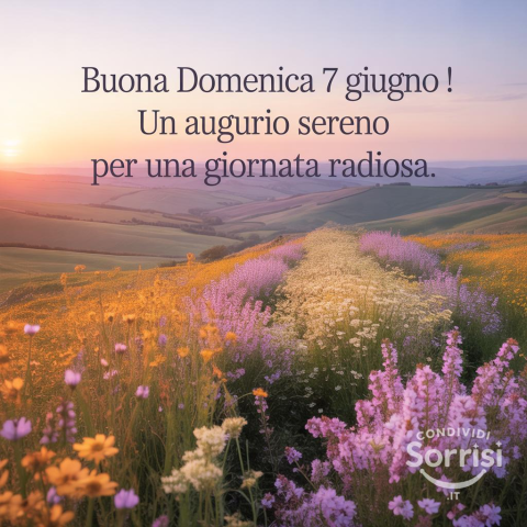 Buonanotte e serena domenica 7 giugno 2026: Auguri per un riposo rigenerante