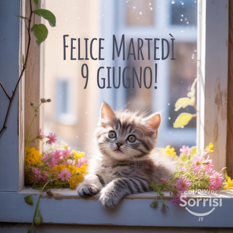 Buongiorno e Felice Martedì 9 Giugno 2026!