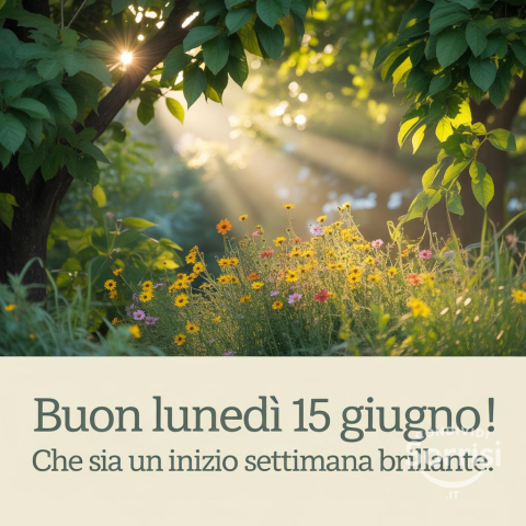 Buongiorno Lunedì 15 Giugno 2026: Inizio Settimana e Speciali Occasioni